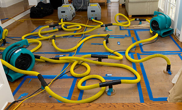 Professional Burst Pipe Water Damage technician working in Brownstown, IN